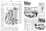 Síða 8