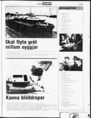 Síða 23