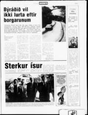 Síða 3