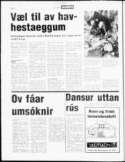 Síða 4