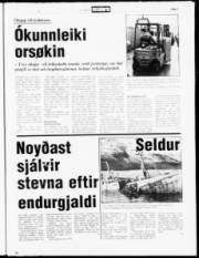 Síða 5