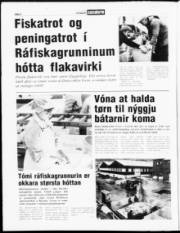 Síða 6