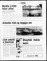 Síða 7