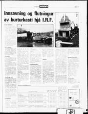 Síða 17