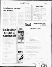 Síða 19