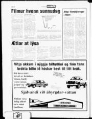 Síða 20