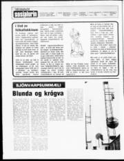 Síða 2