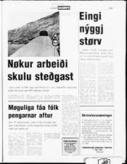 Síða 7