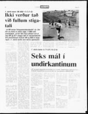 Síða 13