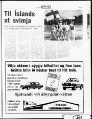 Síða 15