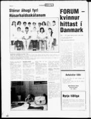 Síða 22