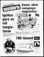 Síða 1