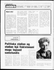 Síða 2