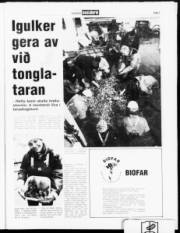 Síða 7