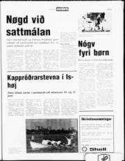 Síða 9