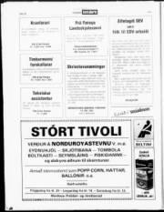 Síða 18