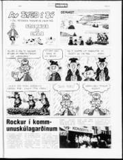 Síða 21