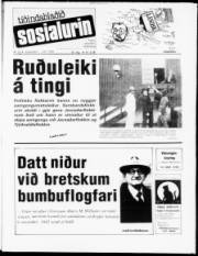Síða 1
