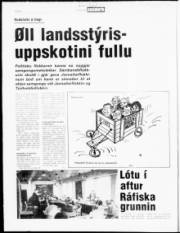 Síða 4