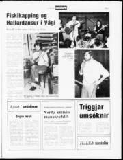 Síða 7