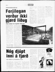 Síða 8
