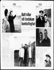 Síða 12