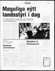 Síða 3