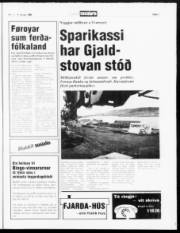 Síða 5