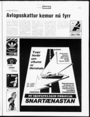 Síða 7