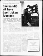 Síða 3