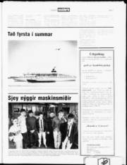 Síða 7