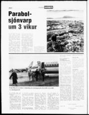 Síða 8