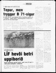 Síða 11