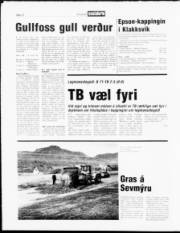Síða 12