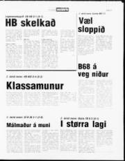 Síða 13