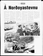 Síða 14