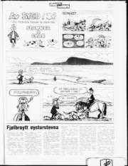 Síða 21