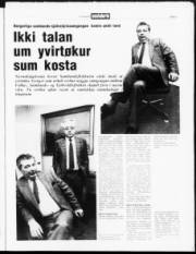 Síða 3