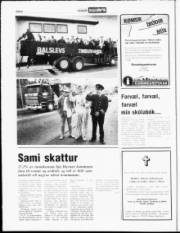 Síða 6