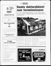 Síða 7