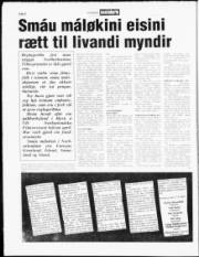 Síða 8