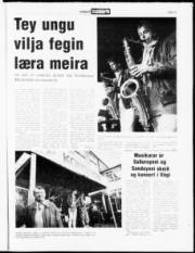 Síða 19