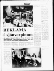 Síða 3