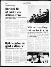 Síða 6