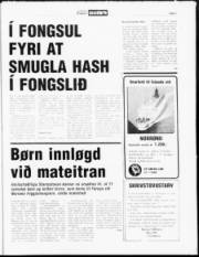 Síða 7