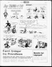 Síða 21