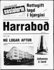 Síða 1