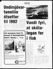 Síða 3