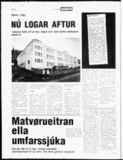 Síða 4