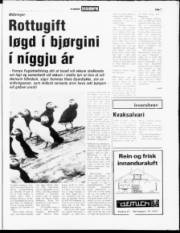 Síða 7